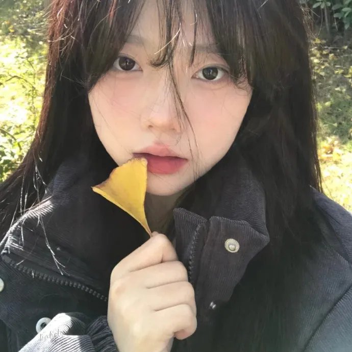 木兰花